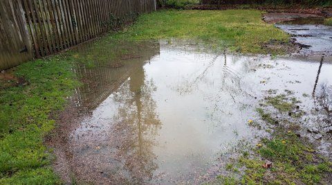 Standing water pooled up in a yard